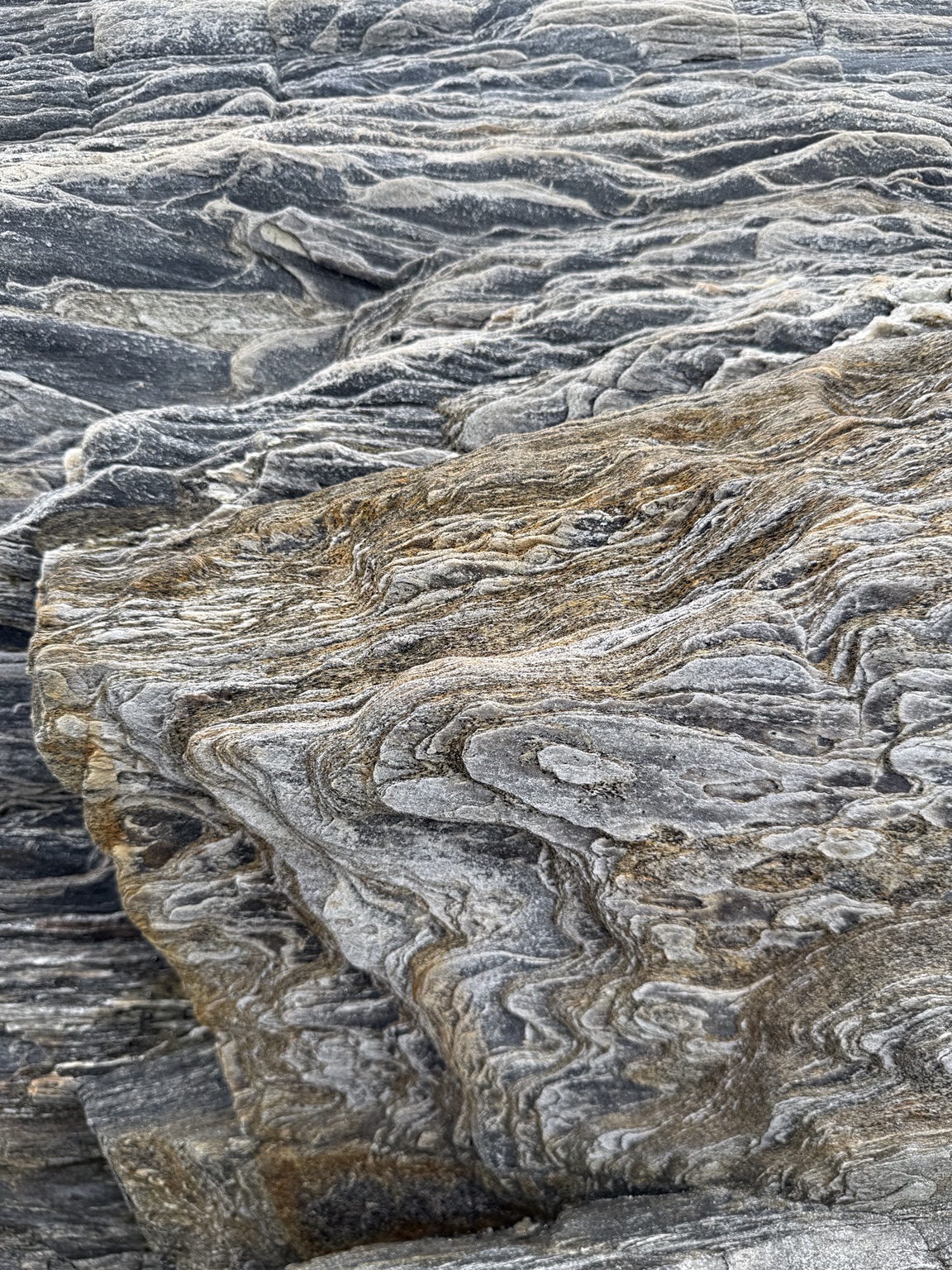 Layered striations of folded grey and ochre rock along a weathered outcrop